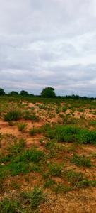 Image of 87120 Sq.ft Residential Plot / Land for sale in Rasheedguda, Hyderabad for Rs. 60000000