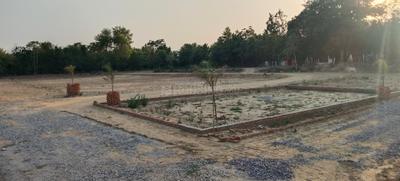 Vatika vihar  Plot View 3