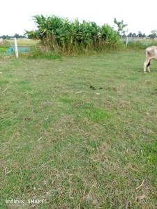 Image of 6700 Sq.ft Residential Plot / Land for sale in Mangaldai, Darrang for Rs. 5000000
