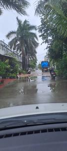Image of 810 Sq.ft Residential Plot / Land for sale in Palsana, Surat for Rs. 1200000