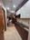 Paramount Pine And Oak Studio Kitchen 1
