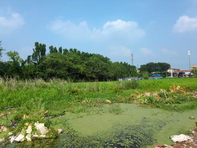Wander Valley Plot View 2