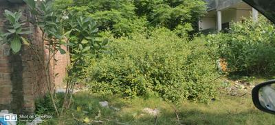 Image of 2152 Sq.ft Residential Plot / Land for sale in Ashiyana, Lucknow for Rs. 25000000
