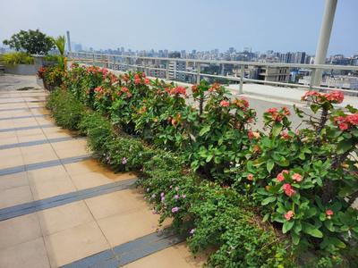 Image of 499 Sq.ft 1 BHK Apartment / Flat for sale in Malad East, Mumbai for Rs. 9600000