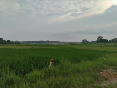 Image of 1000 Sq.ft Residential Plot / Land for sale in Arsande, Ranchi for Rs. 1500000