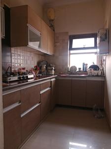 Kitchen Image of 1500 Sq.ft 1 BHK Builder Floor for rent in Sector 17 Gurgaon for Rs. 36000
