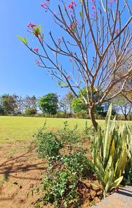 Image of 2216 Sq.ft 4 BHK Independent House for sale in Kingstown, Dunda, Raipur for Rs. 8420800