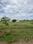 Front line Estates Plot View 2