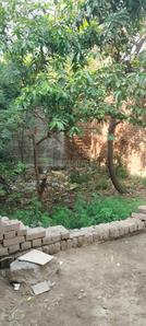 Image of 450 Sq.ft Residential Plot / Land for sale in Mithapur, New Delhi for Rs. 620000