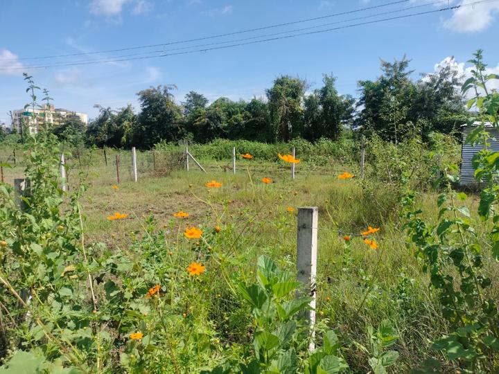 Karanje Turf Satara, Tamjai Nagar Main Image 1
