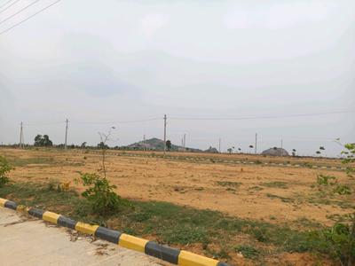 SGD Developers Plot View 2