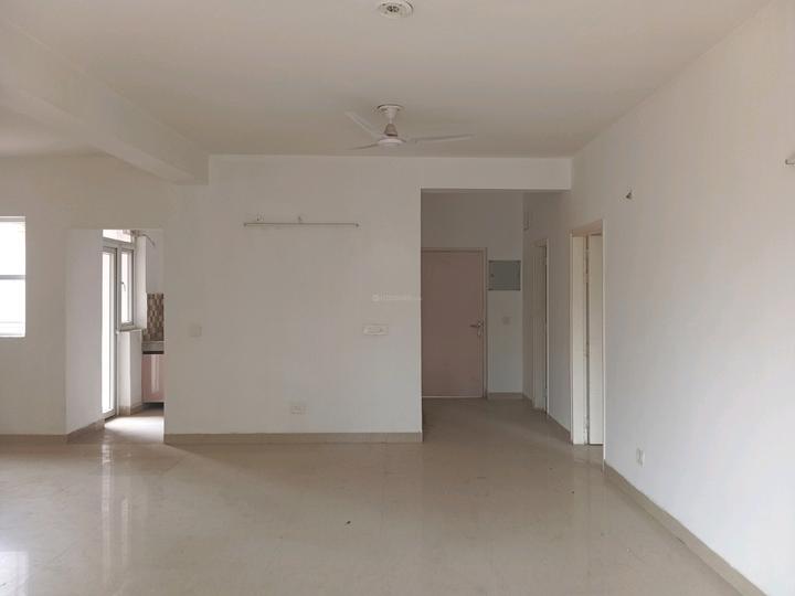 Tulip Purple Main Image 1