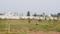 Farmplots Plot View 2
