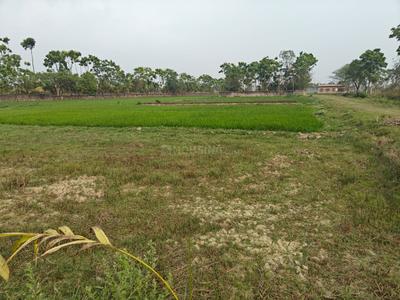 Image of 720 Sq.ft Residential Plot / Land for sale in Sonarpur, Kolkata for Rs. 200000