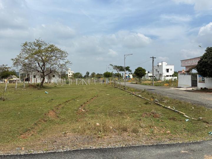 Devanahalli Main Image 1