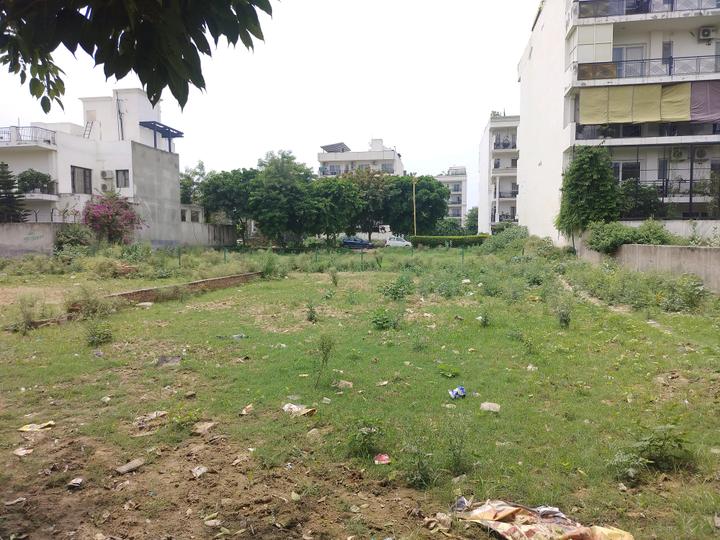 Sector 31 Main Image 1