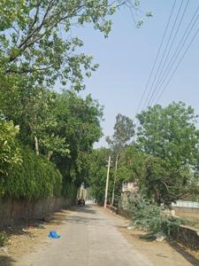 Signature point colony Plot View 3
