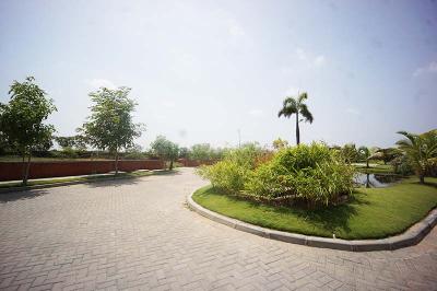 Image of 2323 Sq.ft Residential Plot / Land for sale in Kolat, Ahmedabad for Rs. 80000000