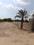 SEZ MEADOWS Plot View 2