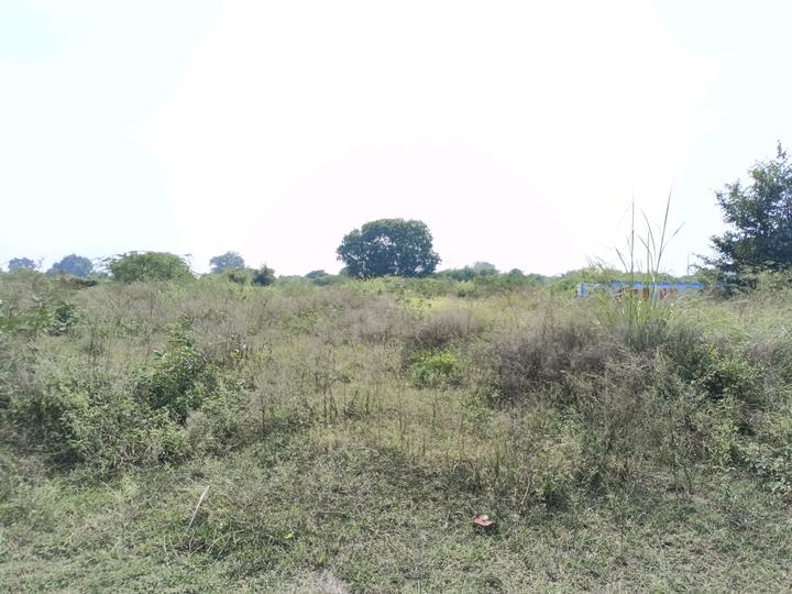 Sector 34 Rohini Main Image 1