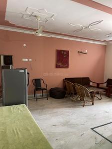 Hall Image of 1300 Sq.ft 1 BHK Builder Floor for rent in Sector 59 Mohali for Rs. 20000