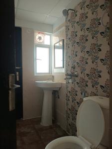 Common Bathroom Image of 1300 Sq.ft 3 BHK Apartment / Flat for sale in Amrapali Verona Heights, Noida Extension Greater Noida for Rs. 10200000