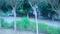 Cassia Nodosa Estate, Chi III Greater Noida Plot View 2