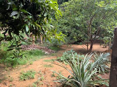 Image of 3879 Sq.ft Residential Plot / Land for sale in Thirumullaivoyal, Chennai for Rs. 32946000