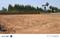 GOOGLE Main Image 1