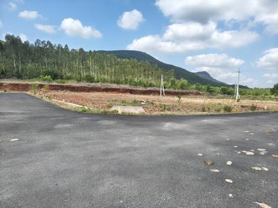 Residential Plot