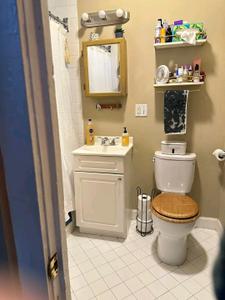 Bathroom Image of 1000 Sq.ft 2 BHK Apartment / Flat for rent in Bodh Gaya Gaya for Rs. 11000