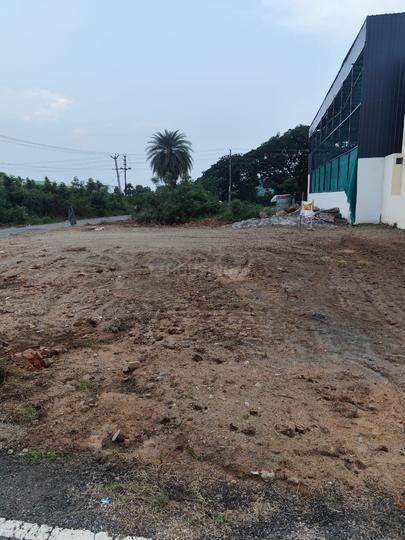 Layout Main Image 1