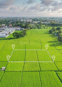 Image of 9000 Sq.ft Residential Plot / Land for sale in Thol, Ahmedabad for Rs. 20000000
