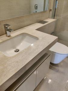 Common Bathroom Image of 1080 Sq.ft 2 BHK Apartment / Flat for sale in L And T Elixir Reserve, Powai Mumbai for Rs. 28500000
