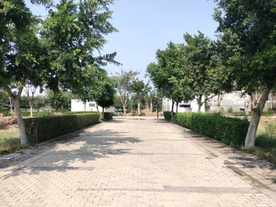 Image of 117 Sq.ft Residential Plot / Land for sale in BPTP District, Sector 81, Faridabad for Rs. 27000000