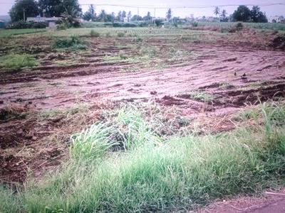 Image of 1089 Sq.ft Residential Plot / Land for sale in Panvel, Navi Mumbai for Rs. 410000