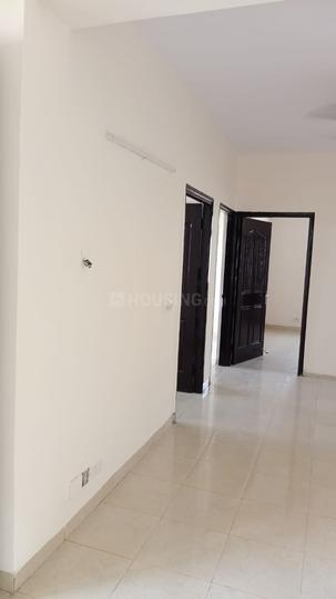 Tulip Orange Main Image 1