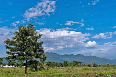 Mansa Devi Temple Complex Plot View 2