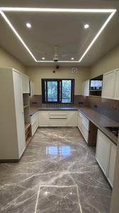 Kitchen Image of 2700 Sq.ft 4 BHK Builder Floor for sale in Naraina New Delhi for Rs. 57500000