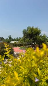 Image of 1326 Sq.ft Residential Plot / Land for sale in Ganeshapuram, Coimbatore for Rs. 1992978