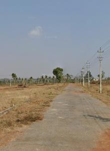 Image of 1200 Sq.ft Residential Plot / Land for sale in Thaluru, Mysore for Rs. 2500000