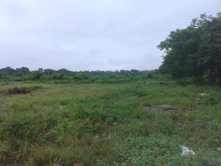 Vindhane Main Image 1