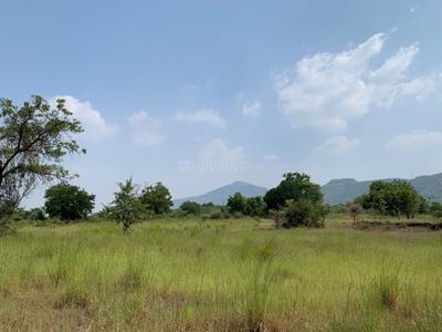 Residential Plot