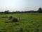 Sonargaon 2 Plot View 2