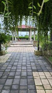 Image of 600 Sq.ft Residential Plot / Land for sale in Saddu, Raipur for Rs. 1110006