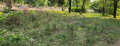 Image of 400 Sq.ft Residential Plot / Land for sale in Raysan, Gandhinagar for Rs. 26000000