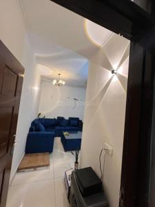 Hall Image of 835 Sq.ft 2 BHK Apartment / Flat for rent in Gillco Palms, Sector 115 Mohali for Rs. 24000