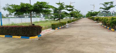 Residential Plot