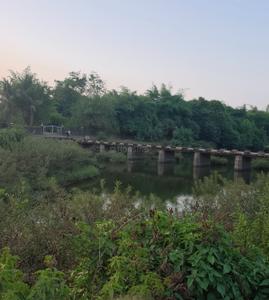 Image of 1089 Sq.ft Residential Plot / Land for sale in Karchunde, Raigad for Rs. 800000