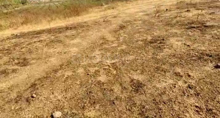 Wagholi Main Image 1